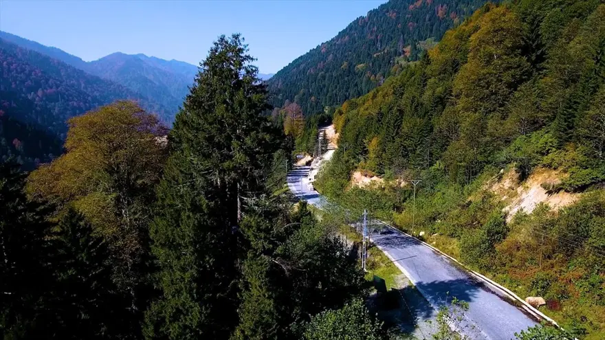 Karadeniz'de yolculuk yeşile dönüyor (Yeşil yol projesi) 8