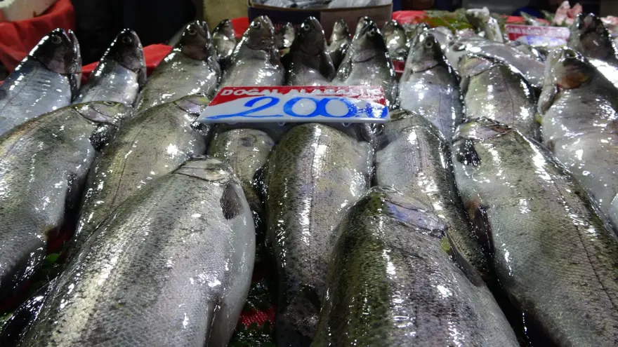 Balık tezgahları yoğun ilgi görüyor: Kilosu 200, 250, 350 lira arasında değişiyor 2