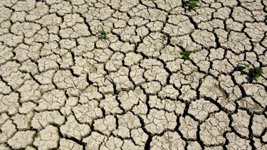 Ege, son 18 yılın en kurak sezonunu yaşıyor