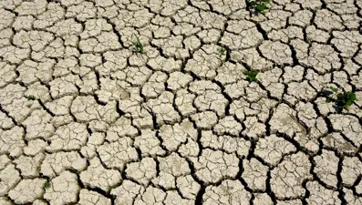 Ege, son 18 yılın en kurak sezonunu yaşıyor