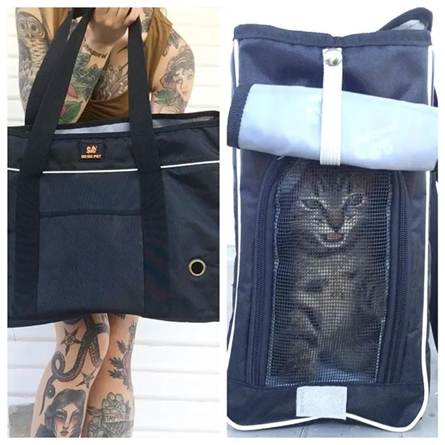 Hayatını kedileri kurtarmaya adadı 259