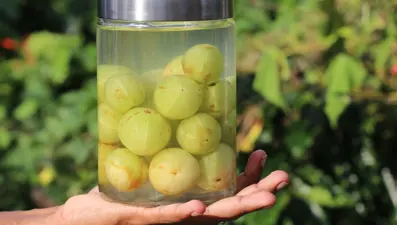 Yüksek tansiyonu kontrol etmeye yardımcı: Sabahları tüketmek gerekiyor