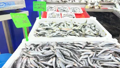 Denizlerin prensi 900 lira: Tezgaha indi, bu sene bol