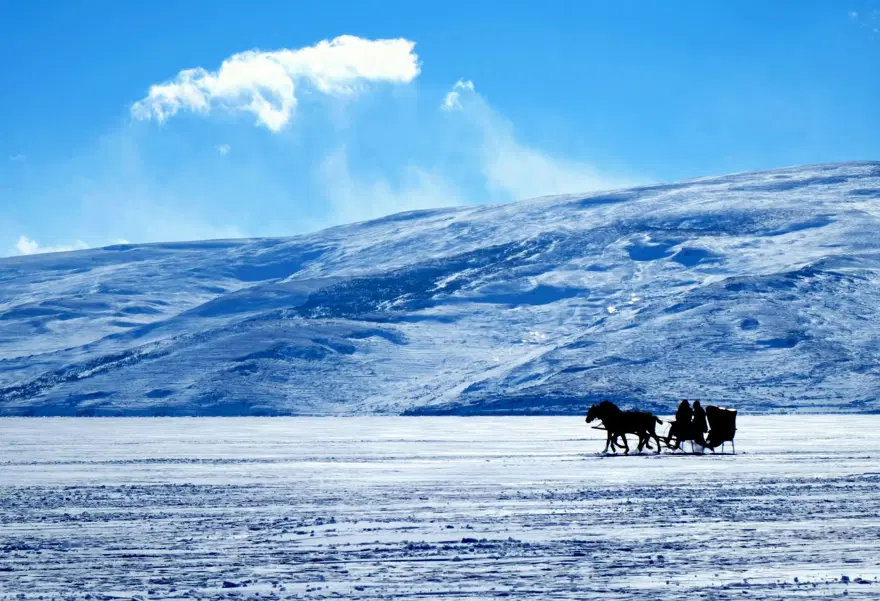 Donan Çıldır Gölü'nde Eskimo usulü balık avı 3