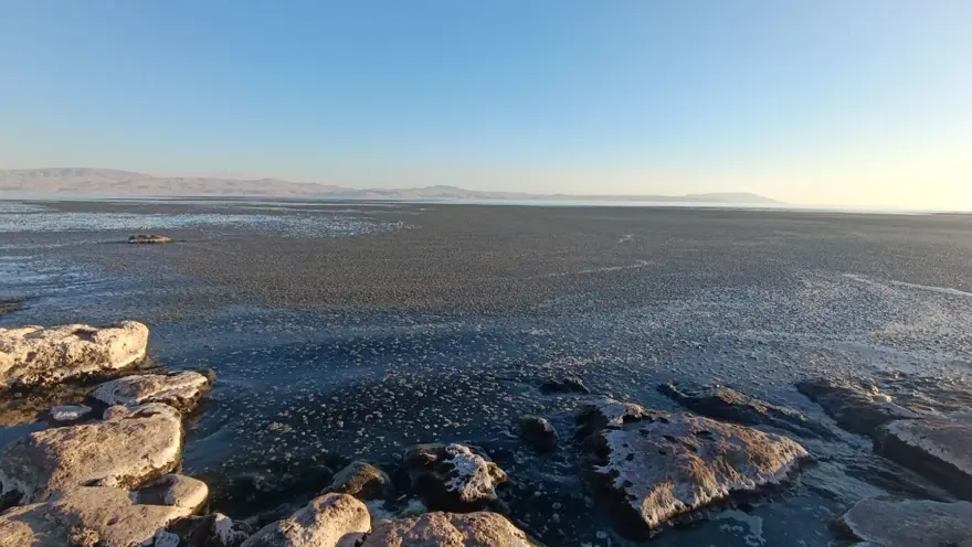 Van Gölü kıyısında oluştu: "Tek bir damla kirli su dahi çok fazla" 2 Van Gölü kıyısında oluştu: "Tek bir damla kirli su dahi çok fazla" 2