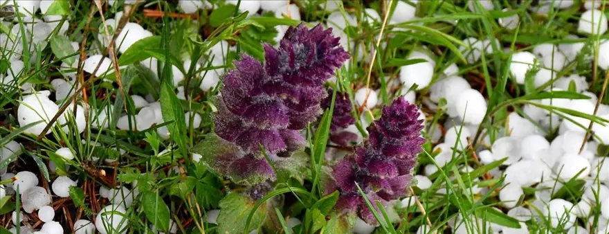 Afetlerin sayısında artış: İki il için acil eylem planı hazırlandı 3 Afetlerin sayısında artış: İki il için acil eylem planı hazırlandı 3