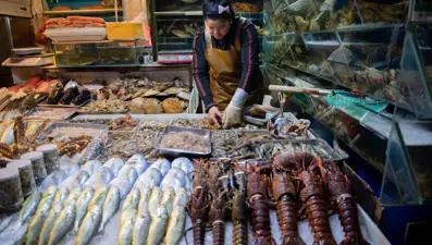 Bilim insanları açıkladı: Corona virüs nerede ortaya çıktı?