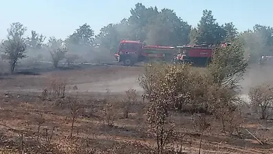 Bilecik’te arazi yangını
