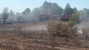 Bilecik’te arazi yangını