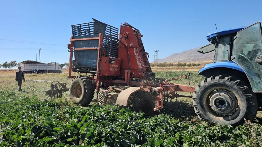 En önemli geçim kaynaklarından biri: Sabah saatlerinde sökümü başladı 