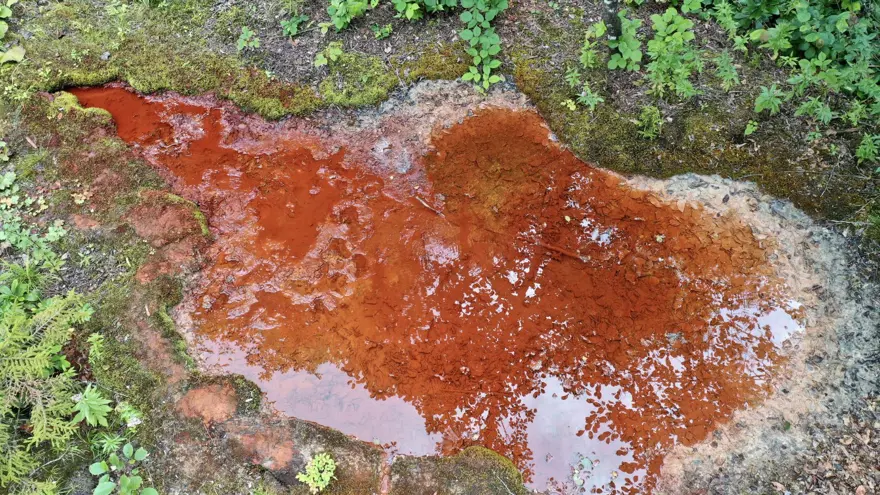 1800 rakımda, doğa tutkunlarının rotası: Kızıl renkteki suyu ilgi görüyor 