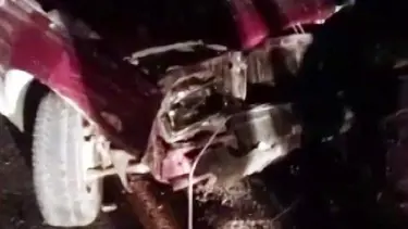 Sakarya’da otomobil koyun sürüsüne çarptı