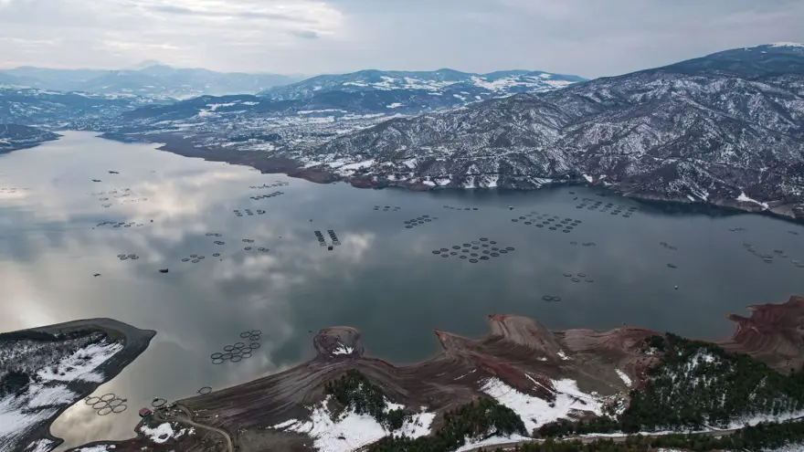 Tokat'ın somonları dünya sofralarına ulaşıyor: Rusya, Çin, Japonya ve Avrupa'ya satılıyor 1