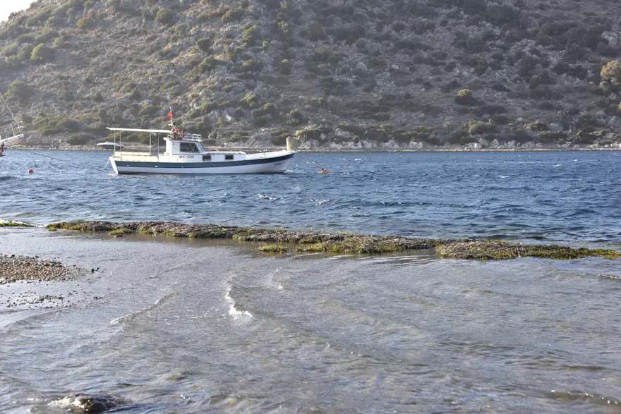 Bodrum'da deniz çekildi tarihi surlar ortaya çıktı 1