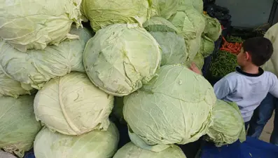 Satışına yoğun ilgi var: Hasadı tamamlandı, artık tezgahta