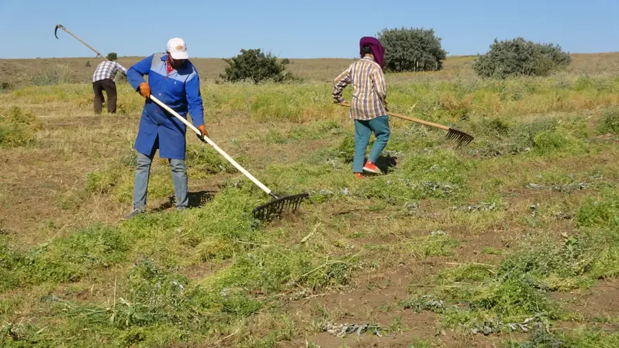 Türkiye'de ilk sırada yer alıyor! Aylık 45 bin liraya çalışacak işçi bulamıyorlar 