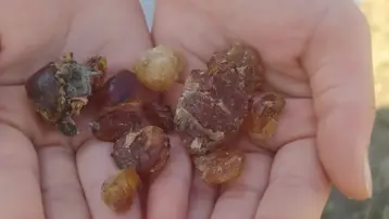 Bölge halkı tarafından ''şifa kaynağı'' olarak tanımlanıyor