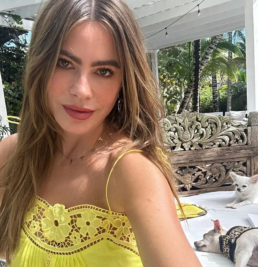 Sofia Vergara'dan estetik iddialarına yanıt 