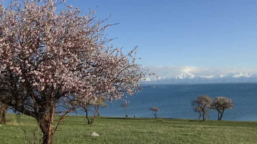 Doğaseverlerin yeni rotası Çarpanak yarımadası 