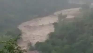 Bozkurt'u vuran selden yeni görüntüler