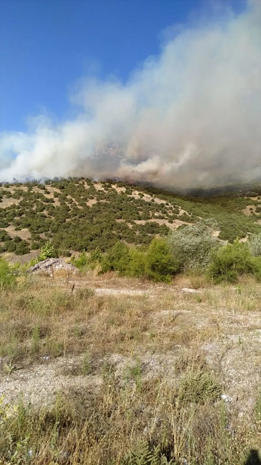 Balıkesir'de orman yangını 4