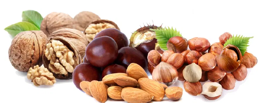 Hafızayı güçlendiren 12 besin 8 Hafızayı güçlendiren 12 besin 8