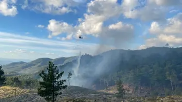 Balıkesir Edremit'te orman yangını