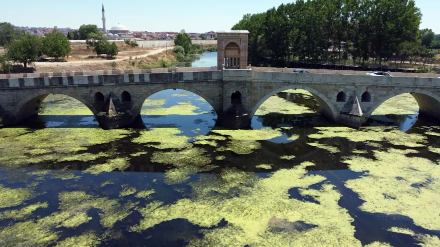 Debi düştü, Tunca Nehri yosunla kaplandı 13