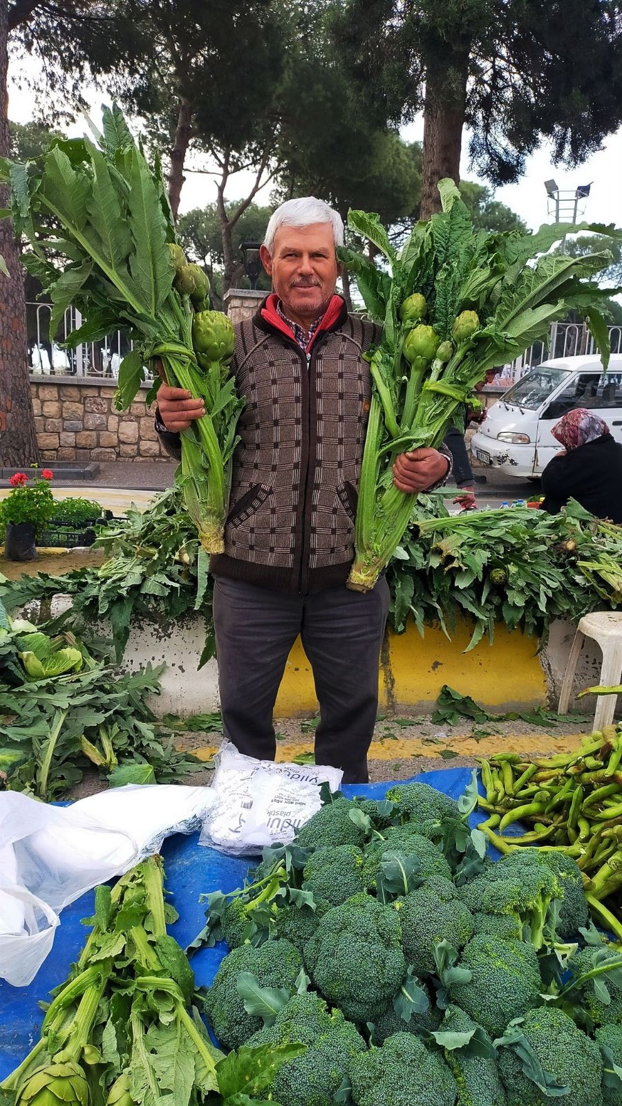 Sezon açıldı, tezgahta yerini aldı: Tanesi 70 TL, hem sağlıklı hem de lezzetli