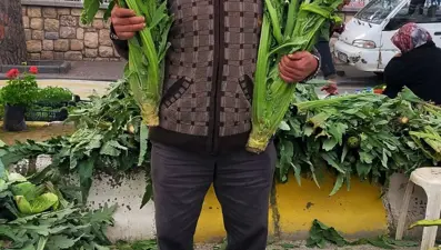 Sezon açıldı, tezgahta yerini aldı: Tanesi 70 TL, hem sağlıklı hem de lezzetli