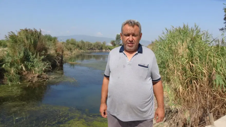 Büyük Menderes'in eski yatağındaki balık ölümlerinin nedeni fazla tuz çıktı 1 Büyük Menderes'in eski yatağındaki balık ölümlerinin nedeni fazla tuz çıktı 1