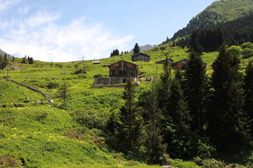 Karadeniz'in yeni gözdesi 'Elevit Yaylası' ziyaretçilerine nefes oluyor 3