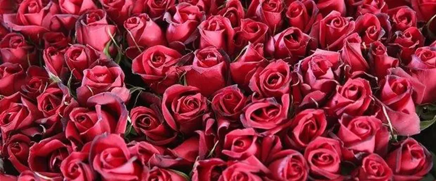 14 Şubat 2019 Tarihte bugün neler oldu? 1