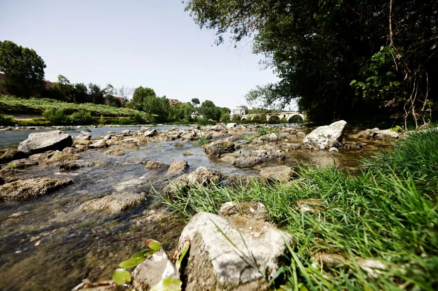 İtalya'da tarihi kuraklık: Tiber nehri kurumaya yüz tuttu 2