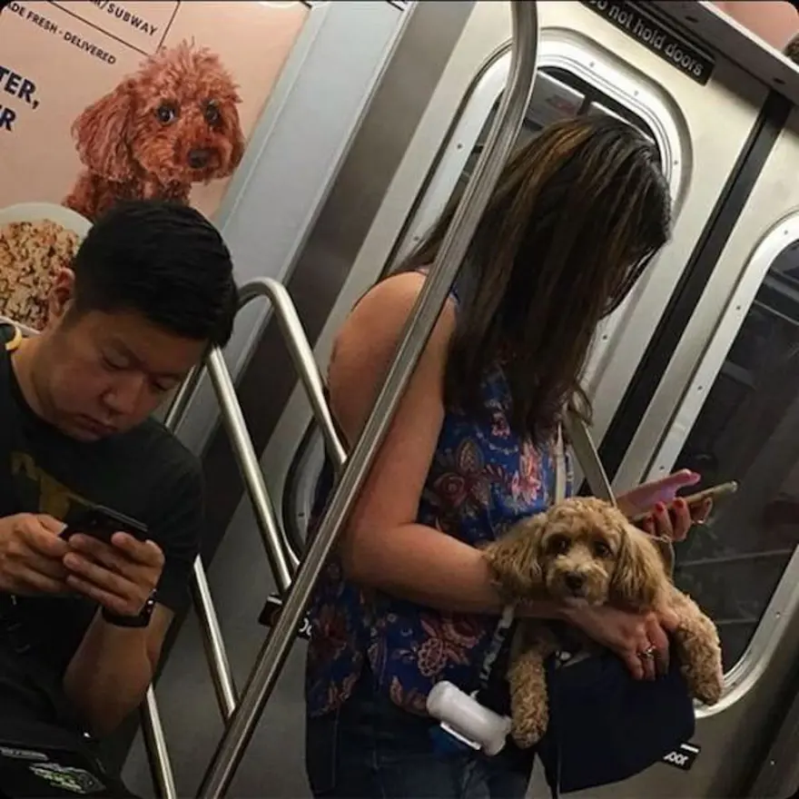 Reklam panosunda ikizinizle karşılaşsanız ne yapardınız? (Metroda fenomen oldular) 5