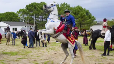 Atlı Okçuluk Güz Toyu İstanbul'da başladı