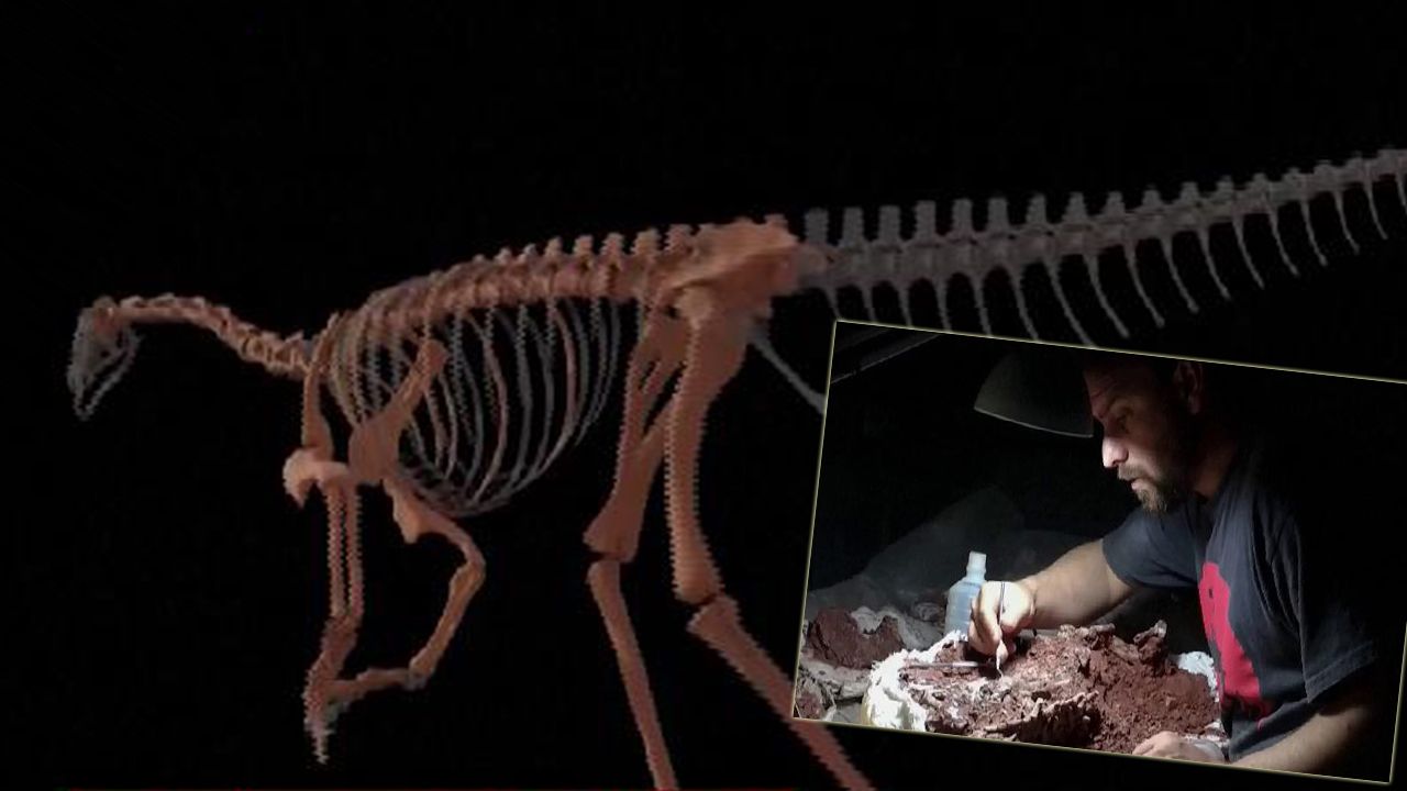 En eski dinozorun kemikleri bulundu