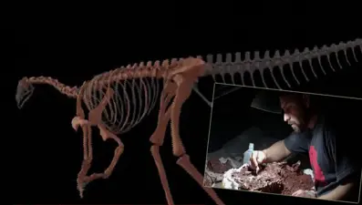 En eski dinozorun kemikleri bulundu