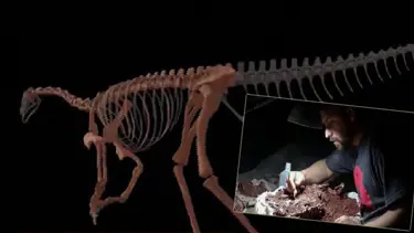 En eski dinozorun kemikleri bulundu