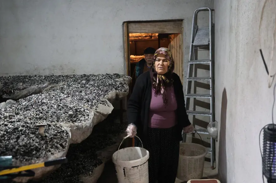 Hobisi ekmek teknesi oldu şimdi siparişe yetişemiyor: 75 metrekarelik odasında yetiştiriyor 1