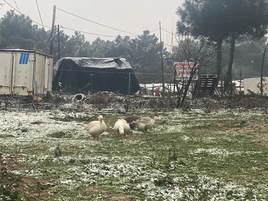 İstanbul'a yılın ilk karı düştü 15 İstanbul'a yılın ilk karı düştü 15