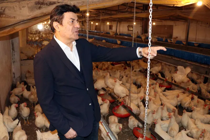Coşkun Sabah tavuk çiftliğini açtı 