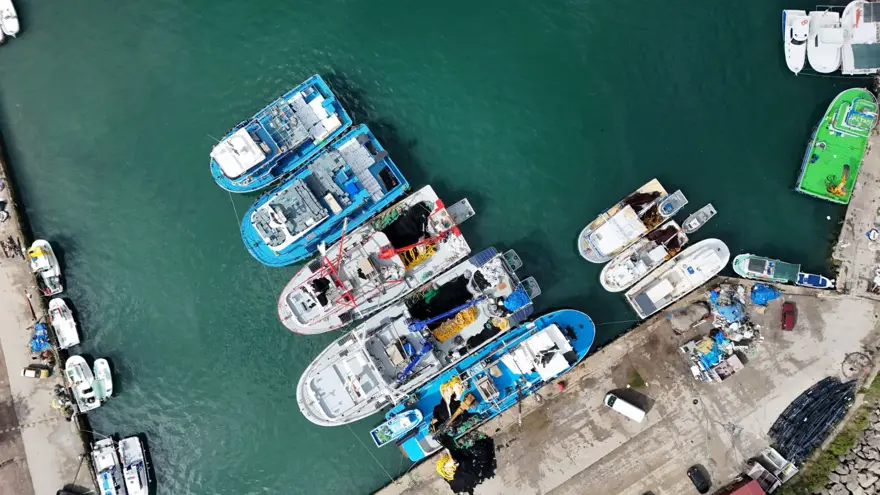 Balıkçıların yüzünü güldürdü: Tezgahta kilosu 150 lira 3 Balıkçıların yüzünü güldürdü: Tezgahta kilosu 150 lira 3