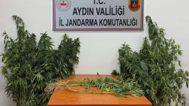 Aydın'da uyuşturcu operasyonu