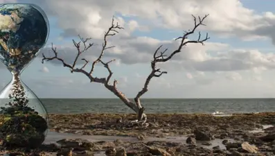 Sıfır Atık Vakfı: İsrafın maliyeti 100 milyar lira