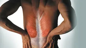 'Omurgadaki her ağrı bel fıtığı değil'