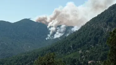 Antalya Akseki'deki orman yangınıyla ilgili bir kişi tutuklandı