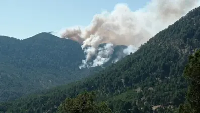 Antalya Akseki'deki orman yangınıyla ilgili bir kişi tutuklandı