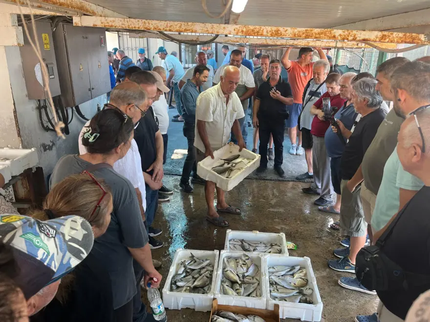 TAZE BALIK, UYGUN FİYAT 3