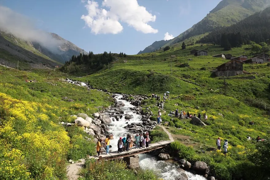 Karadeniz'in yeni gözdesi 'Elevit Yaylası' ziyaretçilerine nefes oluyor 14